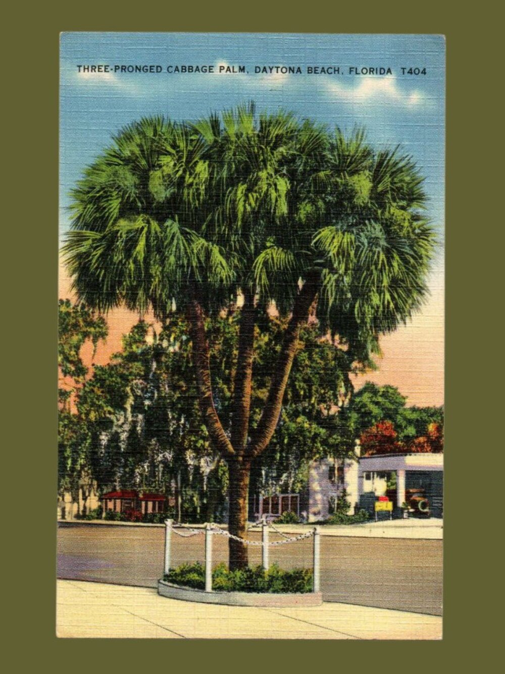 POSTCARD SALE 10/$20 Florida Linen Postcard Three Branch Palm Daytona Beach